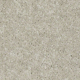 Shaw Floors Dyersburg Classic 12' Dove SHAW