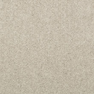 Shaw Floors Dalton 30 12' Dove SHAW