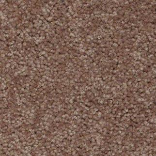 Shaw Floors Dyersburg Classic 12' Candied Truffle SHAW