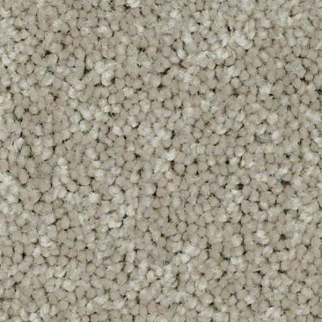 Shaw Floors Dyersburg Classic 12' Plaster SHAW