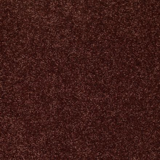 Shaw Floors Dalton 40 12 Coffee SHAW