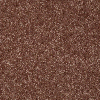 Shaw Floors Briceville Classic 15' Winter Wheat SHAW