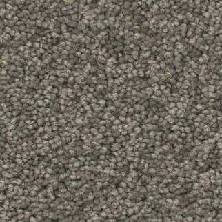 Tuftex Enduring Charm Highrise SHAW