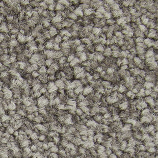 Horizon Carpet Exceptional Choice Weathered Plank Mohawk