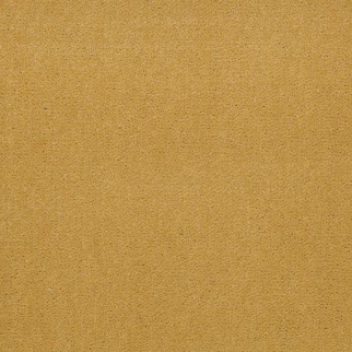 Philadelphia Commercial Emphatic II 36 Sunflower Shaw