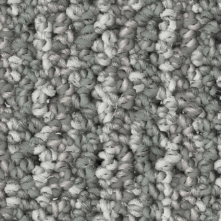 Tarkett Home Carpets Barrington II Cape May LEXMARK