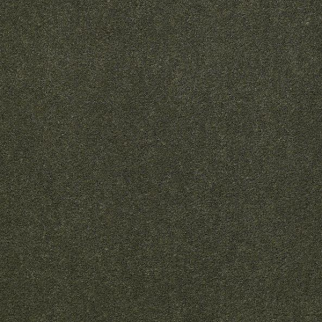 Philadelphia Commercial Emphatic II 36 Thyme Shaw