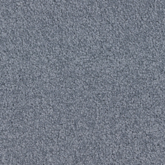 Dixie Home Spring Break Wave