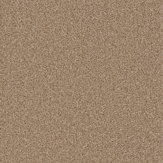 Dreamweaver Carpet Cape Cod Bamboo DREAMWEAVER