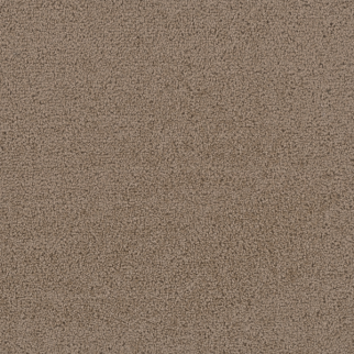 Dreamweaver Carpet First Step Basalm DREAMWEAVER