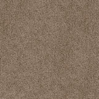 Dreamweaver Carpet Cedar Creek Taupe DREAMWEAVER