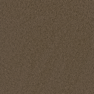 Dreamweaver Carpet Tracker Taupe DREAMWEAVER