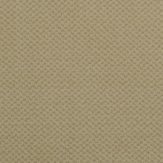 Masland Carpets Seurat Plaster Masland