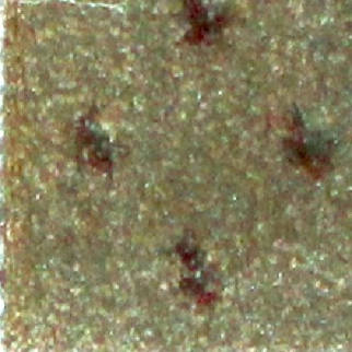 Milliken Carpets Legacy Khaki