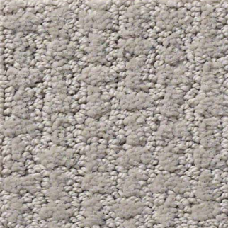 Shaw Floors Complete Control Silhouette SHAW