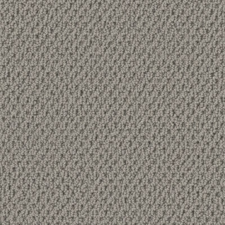 Tuftex Gracious Slate SHAW