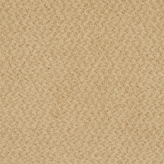 Masland Carpets New Hope Fawn Masland