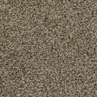 Mohawk Carpet Effortless Choice Haven Mohawk