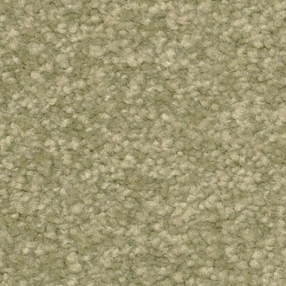 Dixie Home Inspiring Clove