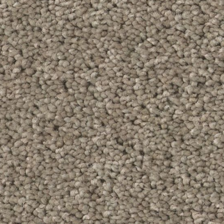 Tuftex Enduring Charm Atmosphere SHAW