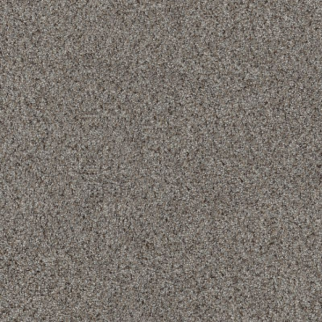 Shaw Floors Abilene II Powerful SHAW