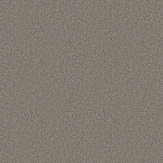 Shaw Floors Abilene I Powerful SHAW