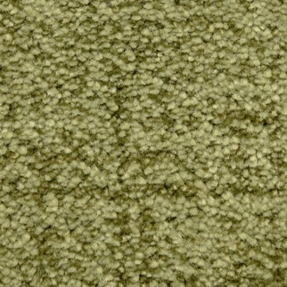 Dixie Home Mystique Bermuda Grass