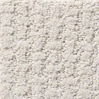 Shaw Floors Complete Control Rock Crystal SHAW