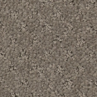 Tuftex Del Vista Riverbank SHAW