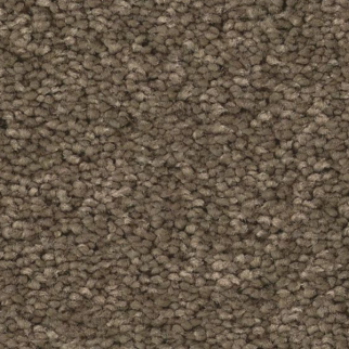 Tuftex Elegant Beauty Moonbeam SHAW