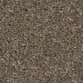 Tuftex Enduring Charm Moonbeam SHAW