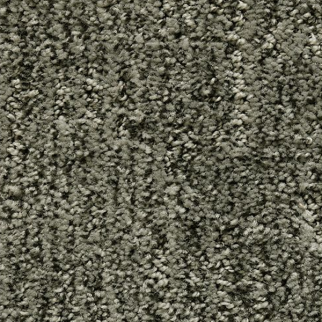 Mohawk Carpet Random Nature Dark Night Mohawk