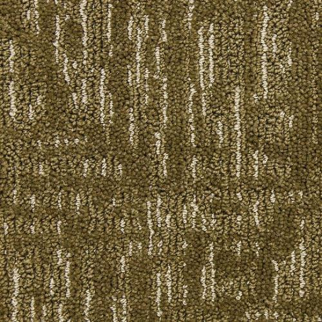 Masland Carpets Nebula Terrestrial Masland