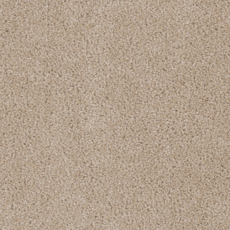 Dreamweaver Carpet Cedar Creek Cashmere DREAMWEAVER