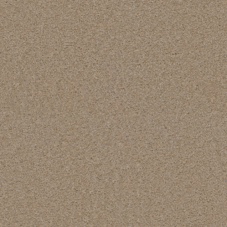 Dreamweaver Carpet Exceptional II Cashmere DREAMWEAVER