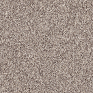 Shaw Floors Inlet Shore I 12 Pale Ecru SHAW