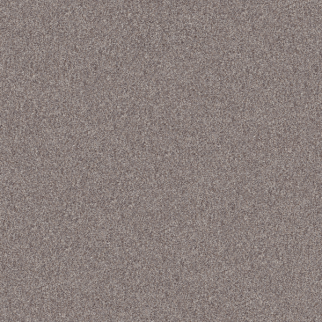 Shaw Floors Inlet Shore III French Buff SHAW