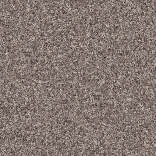 Shaw Floors Inlet Shore I 12 Smooth Satin SHAW