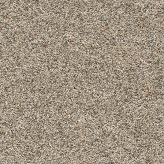 Dreamweaver Carpet Confetti I Pale Vista DREAMWEAVER