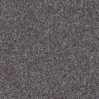 Shaw Floors Inlet Shore I 12 Rod Iron SHAW