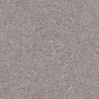 Shaw Floors Inlet Shore II 15 Brushed Nickel SHAW