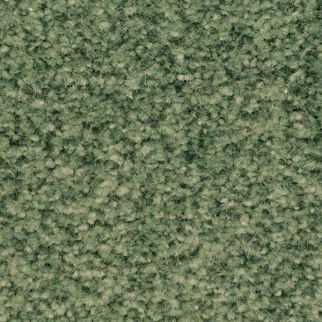 Dixie Home Semitones Hunt Club