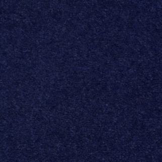 Aladdin Carpet Accelerator Plus Real Indigo MISSING