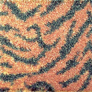 Milliken Carpets Domo Tiger
