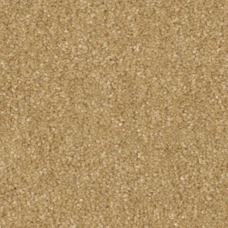 Shaw Floors Hard At Play II 15' Honeycomb SHAW