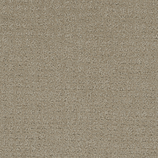 Dreamweaver Carpet Common Ground Fieldcrest DREAMWEAVER