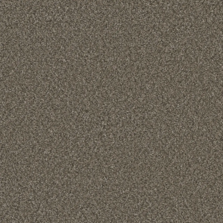 Dreamweaver Carpet Royale III Fawn DREAMWEAVER