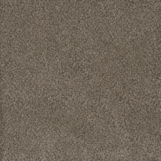 Dreamweaver Carpet Monte Carlo I Fawn DREAMWEAVER