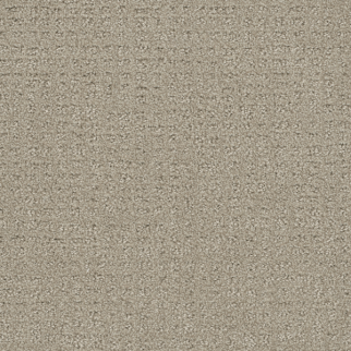 Dreamweaver Carpet Common Ground Moon Mist DREAMWEAVER