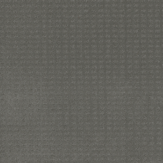 Dreamweaver Carpet Superb Skyway DREAMWEAVER